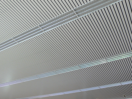 Dobner Sportpaneeldecke, ballwurfsicher